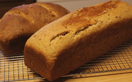 sprouted-spelt-bread_2432