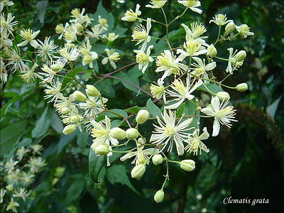 [image%255B80%255D.png]