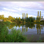 Etang du Marais de Lancin photo #1332