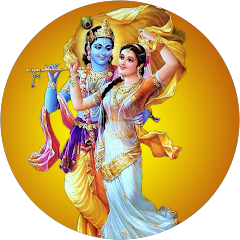maitri kapadiya Avatar