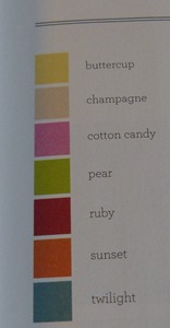 CTMH Idea Book Color Pallet for Chantilly
