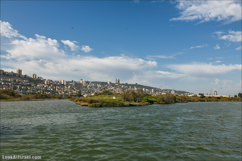 LookAtIsrael.com - Восстановление реки Кишон | Recovering Kishon river | שיחזור נחל קישון