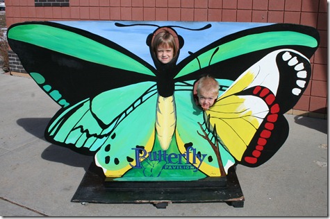 2011-11-04 Butterfly Pavilion (1)