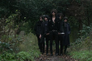 The Horrors