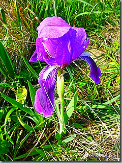 P1080026 P1080026