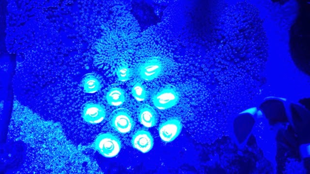 20140308_064656675_iOS 20140308_064656675_iOS