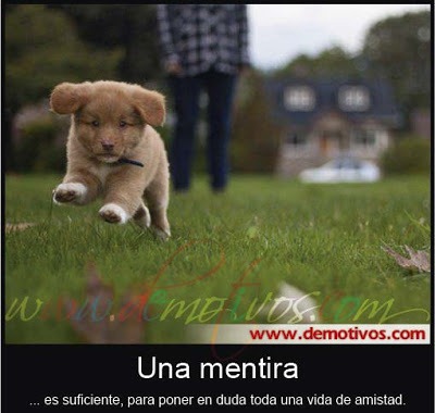 [mentiras%255B5%255D.jpg]