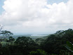 Austr_416_11.11.2007.JPG