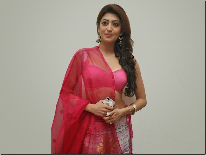 pranitha_Hot  (3)