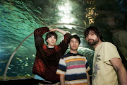 Animal Collective