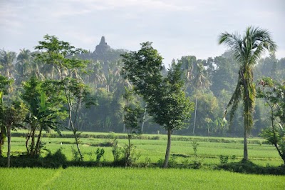 DSC_0231.jpg