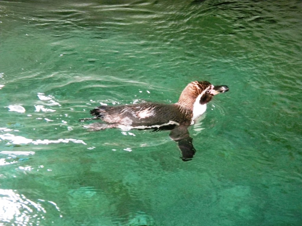 [DSCN5481%2520-%2520Kopie%255B4%255D.jpg]