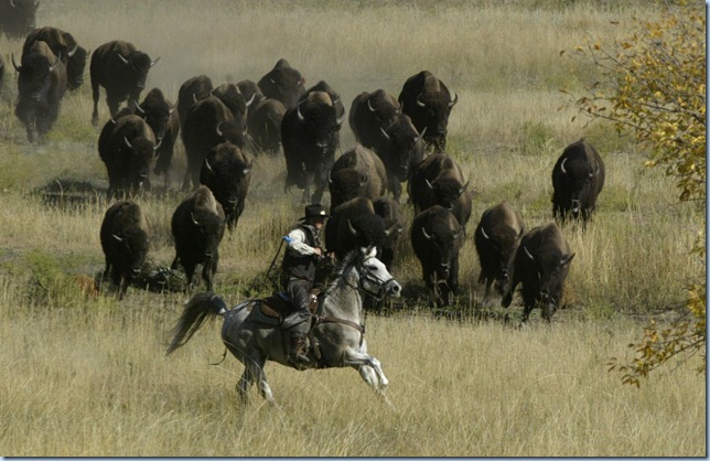 Wranglers work to control the herd as they move toward the corral area Monday during the annual buffalo roundup at Custer State Park. The roundup allows park officials to manage the herd and cull animals for sale to keep the population around 1,000.

(Elisha Page/Argus Leader)