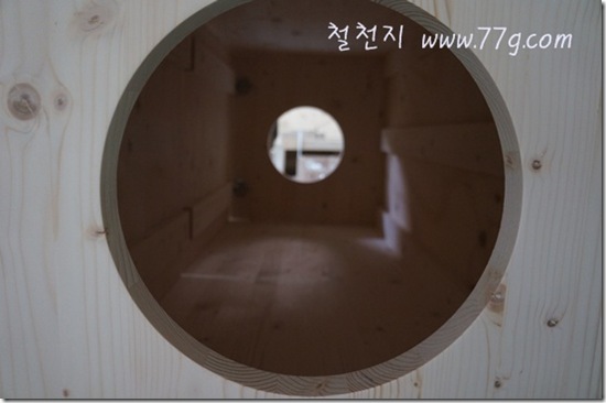 철천지DSC03604-20120619-153054