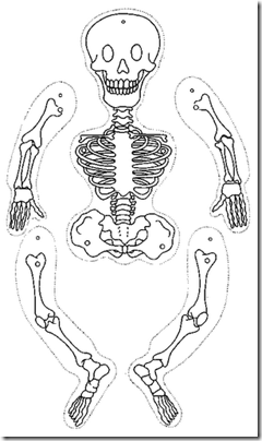 esqueletos articulados halloween (1)