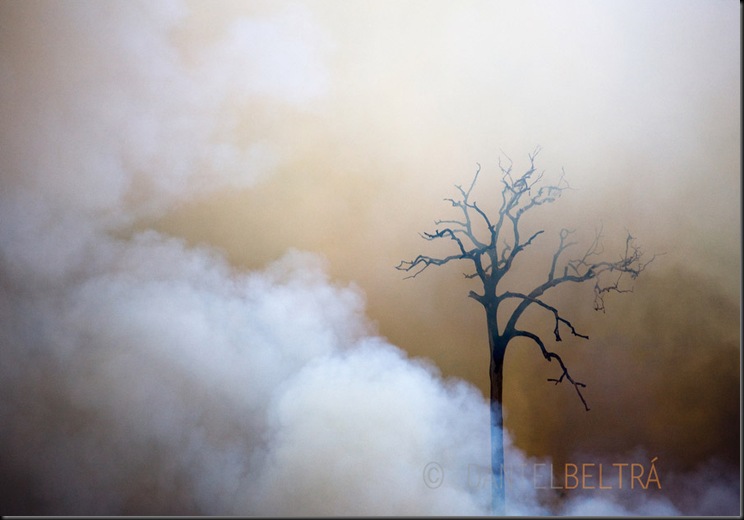 Fires burn the Amazon rainforest to clear the ground for cattle or crop farming in Sao Felix Do Xingu municipality, in Para State, Brazil, August 13, 2008.<br />Daniel Beltra/Greenpeace