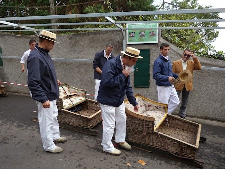 Revelion 2014: La sanius prin Madeira