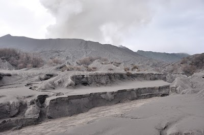 DSC_0595.jpg