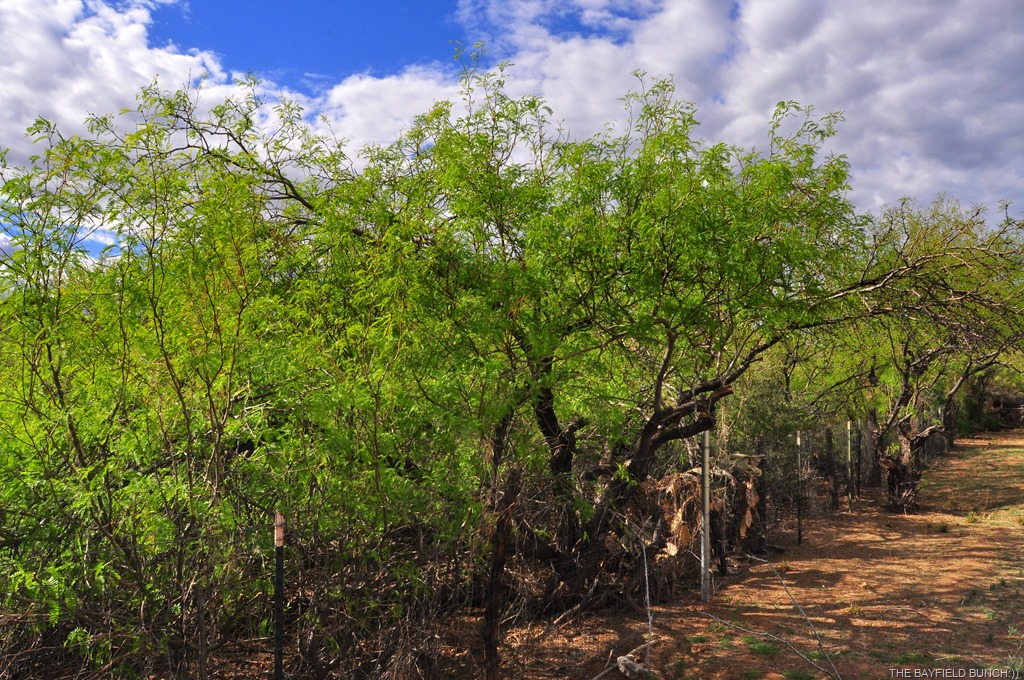 [DSC_0001%255B4%255D.jpg]