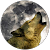 Graça Lobo Graça Lobo