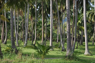 DSC_0553.JPG