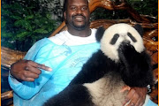 Shaquille O'Neal