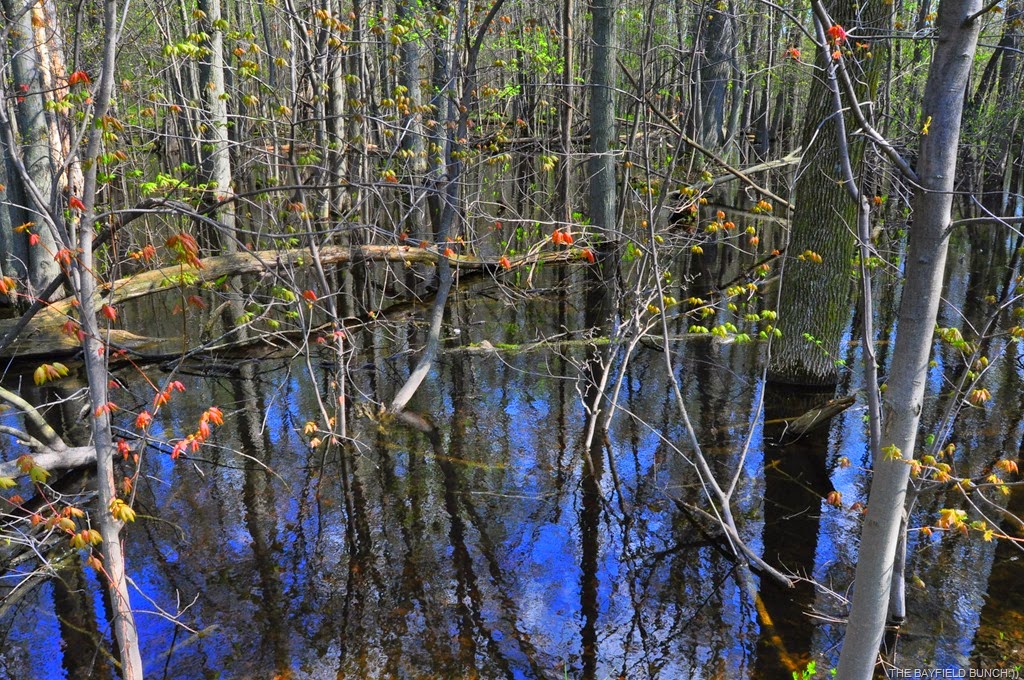 [DSC_0005%255B4%255D.jpg]