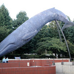 whale monument in ueno in Ueno, Japan 