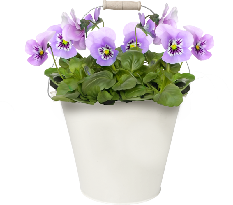 0_9d2f1_7045b383_XXL%25255B1%25255D.png