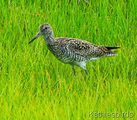 DSC_0279 DSC_0279