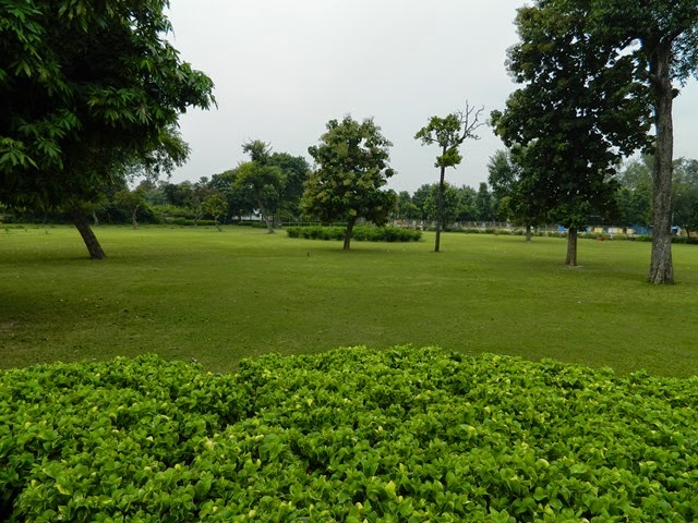 DSCN2156 DSCN2156