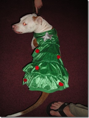 6.  Moo's Christmas Outfit (2)