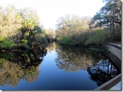 Hillsborough River reflections