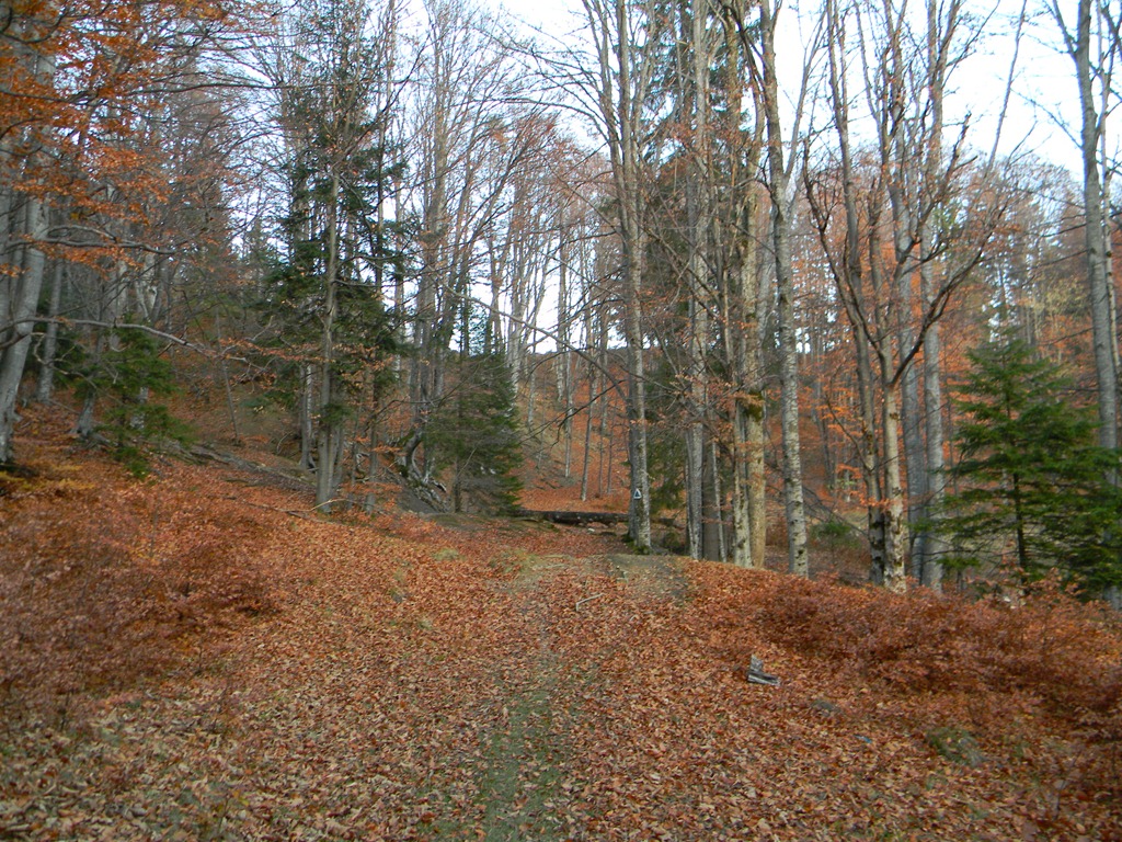 [DSCN06773.jpg]