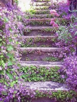 [purple%2520flowers%2520stairs%255B2%255D.jpg]