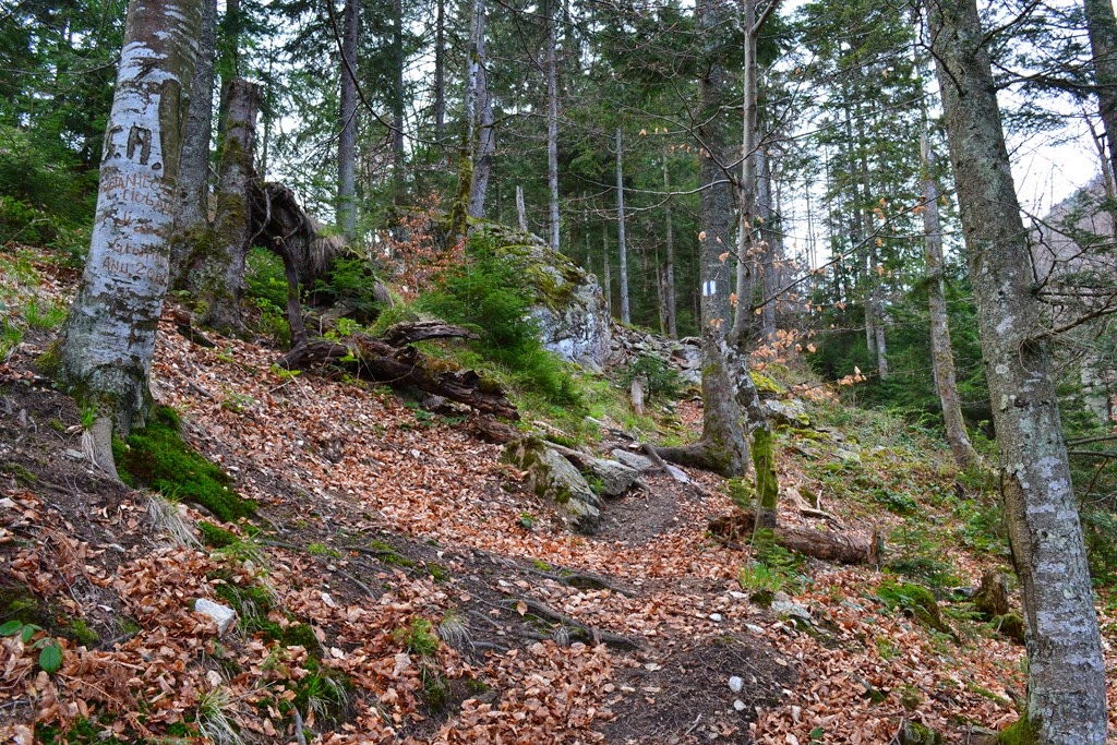 [DSC_71853.jpg]