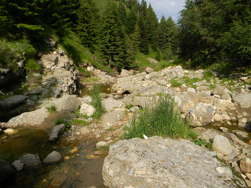 [DSCN36723.jpg]