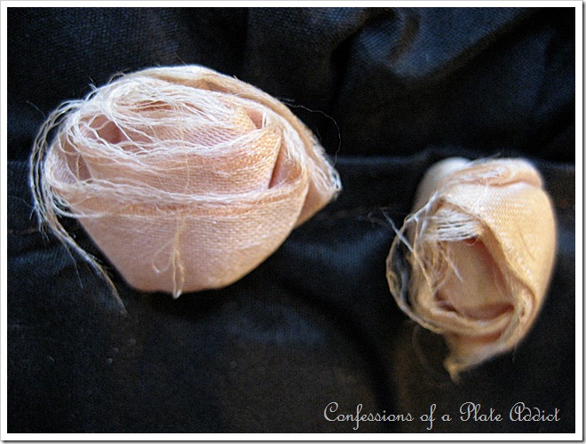 roses roses