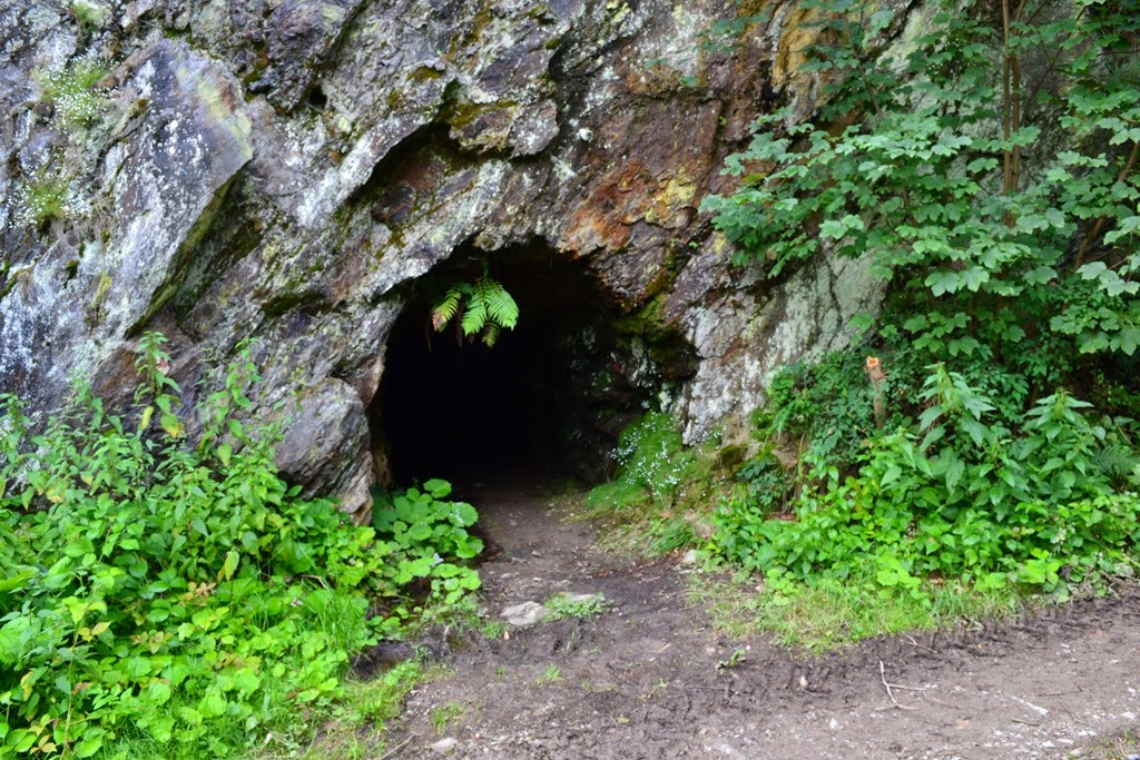 [DSC_27373.jpg]
