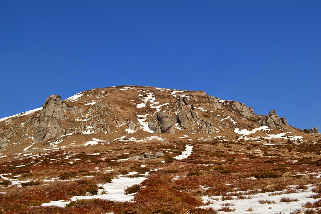 [DSC_59653.jpg]
