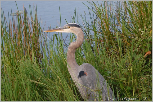 DSC_0078 DSC_0078