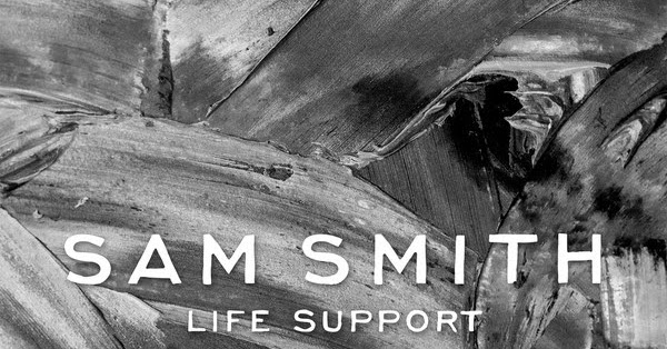 Bls. Life support. Bls это в медицине. Ancillary life. My life support.