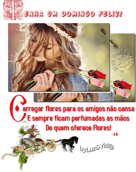 tuld%2528MB%2529maryluz.png