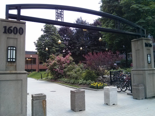 College Herzing Park