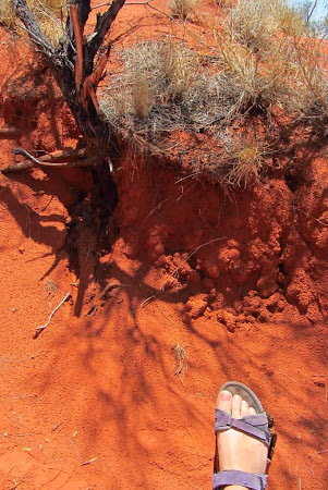 Imagini Uluru: Cat de rosu este desertul rosu