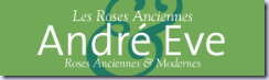 andre-eve-logo