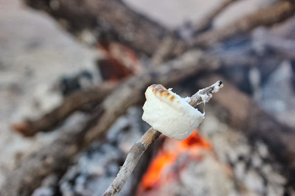 marshmallow roasted