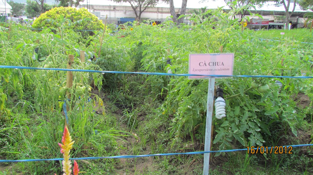 [IMG_1707%255B3%255D.jpg]