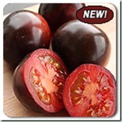 organic-seeds-indigo-rose-tomato-new-01
