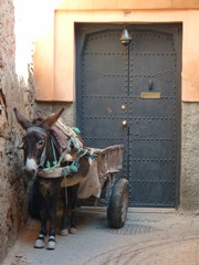 marrakech 2011 072